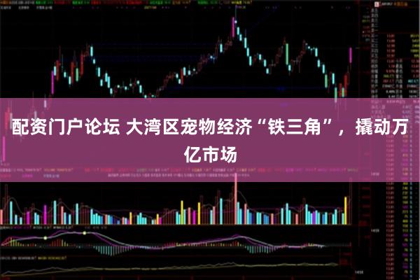 配资门户论坛 大湾区宠物经济“铁三角”，撬动万亿市场